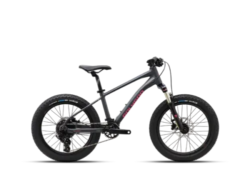 XTRADA-20