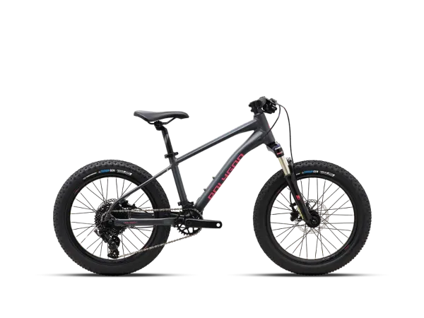 XTRADA-20